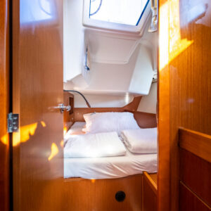 Buddy_1500px_251122-5 Buddy_1500px_251122-5